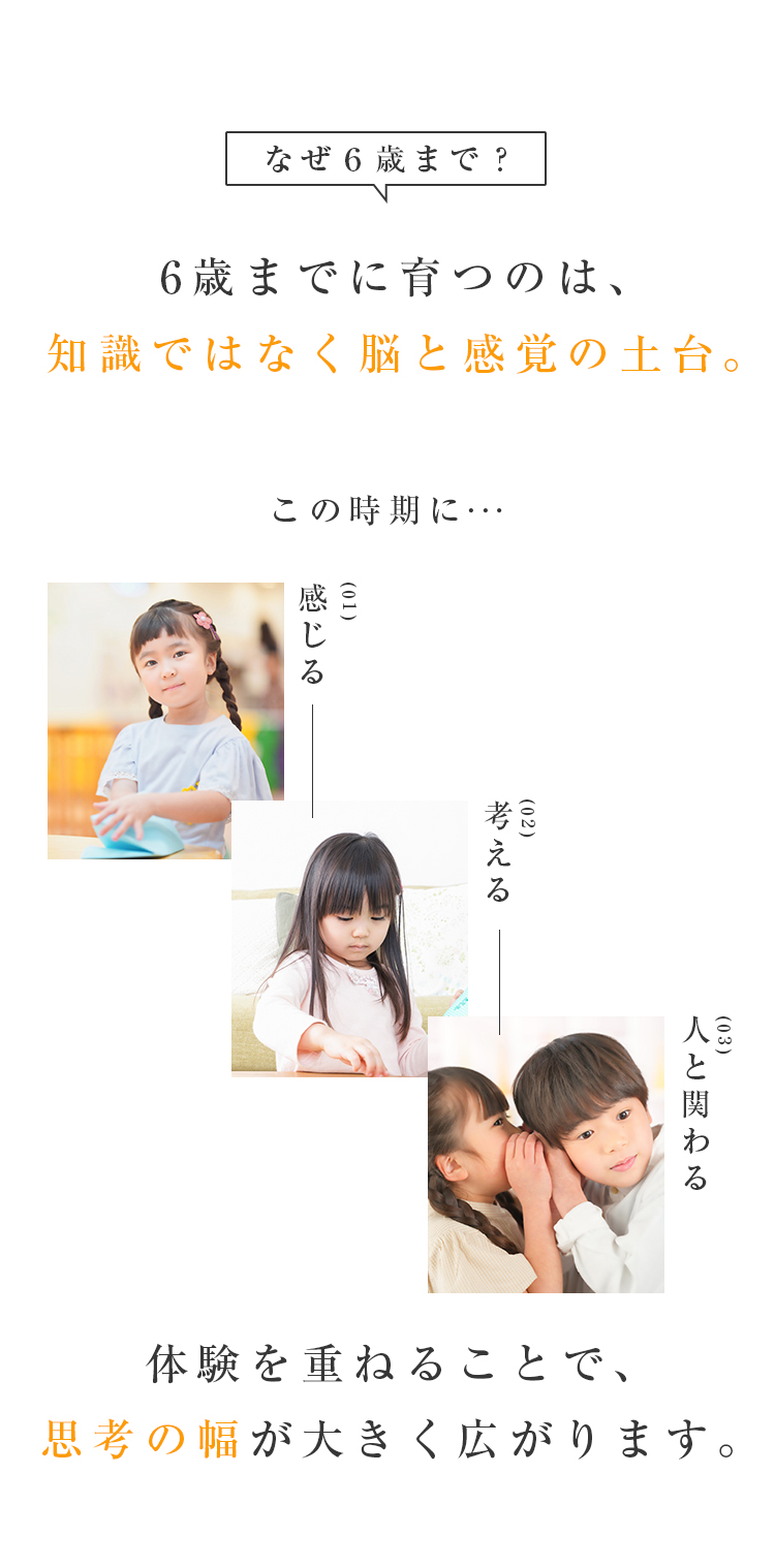 なぜ6歳まで？6歳までに育つのは、知識ではなく脳と感化kぅの土台。